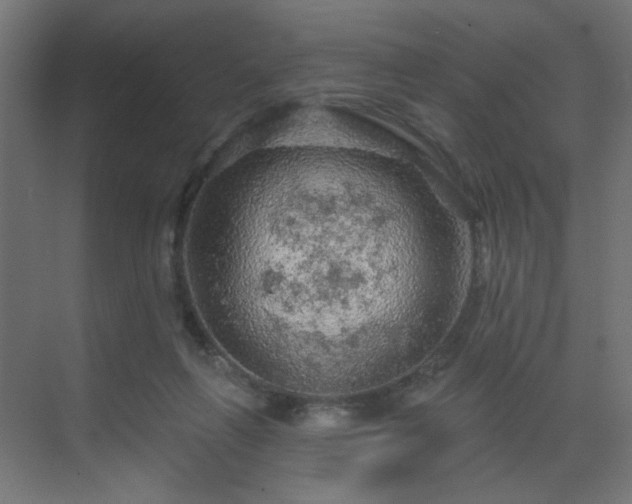 X0000069790263200605261704