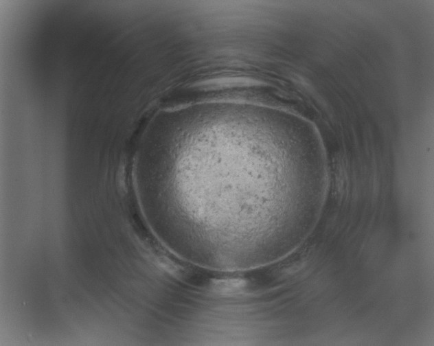 X0000069790266200605261704