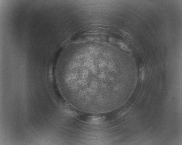 X0000069790267200605261704