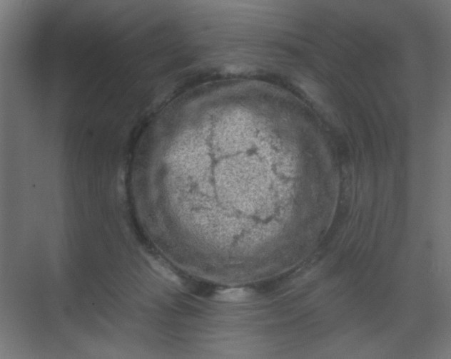 X0000069790269200605261704