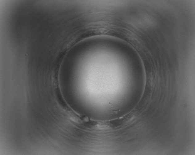 X0000069790270200605261704