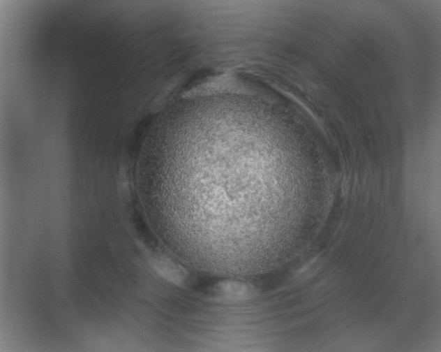 X0000069790272200605261704