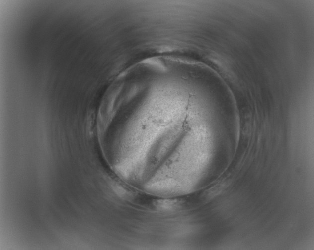 X0000069790273200605261704