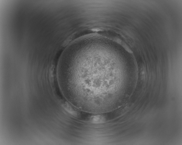 X0000069790275200605261704