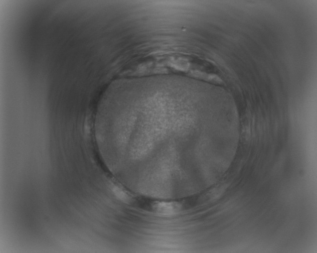 X0000069790277200605261704