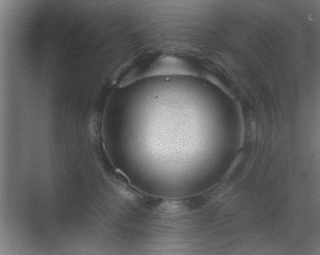 X0000069790280200605261704