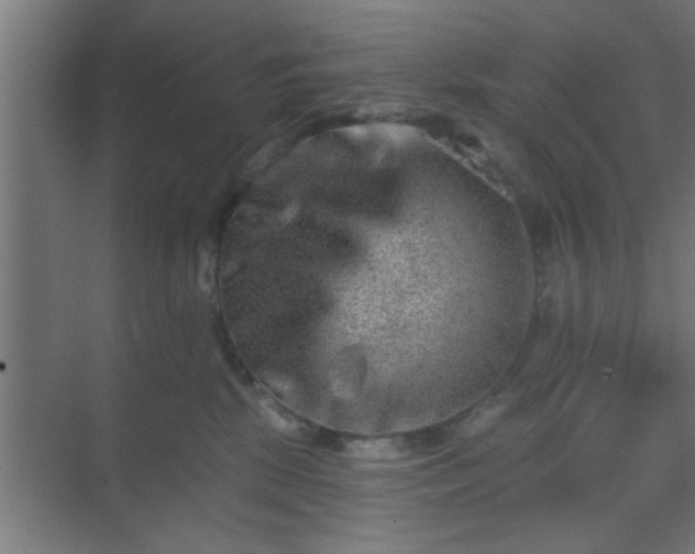 X0000069790281200605261704