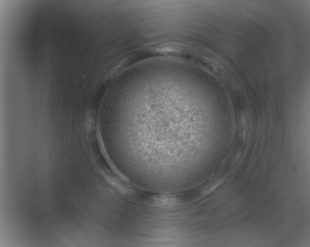 X0000069790284200605261705