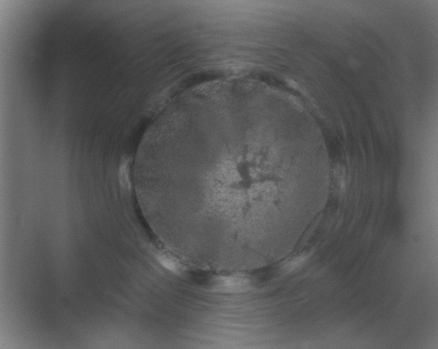 X0000069790286200605261705