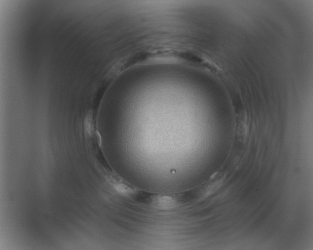 X0000069790287200605261705