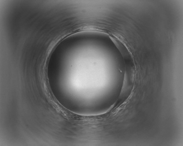 X0000069790289200605261704