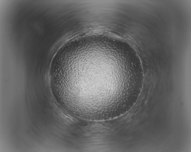 X0000069790290200605261704