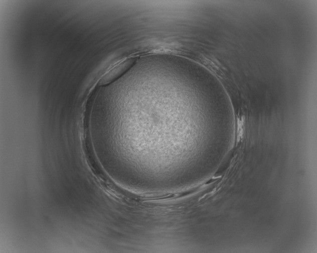 X0000069790291200605261704