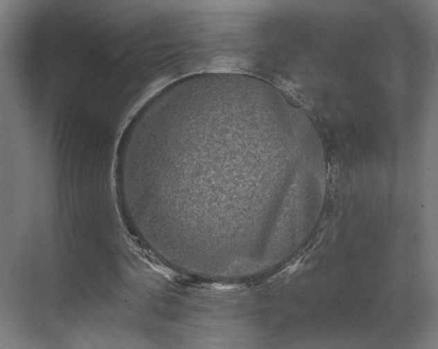 X0000069790292200605261704