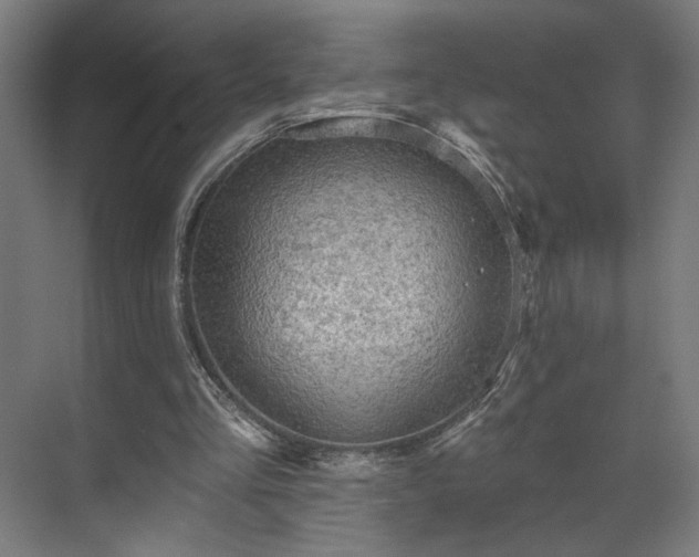 X0000069790293200605261704