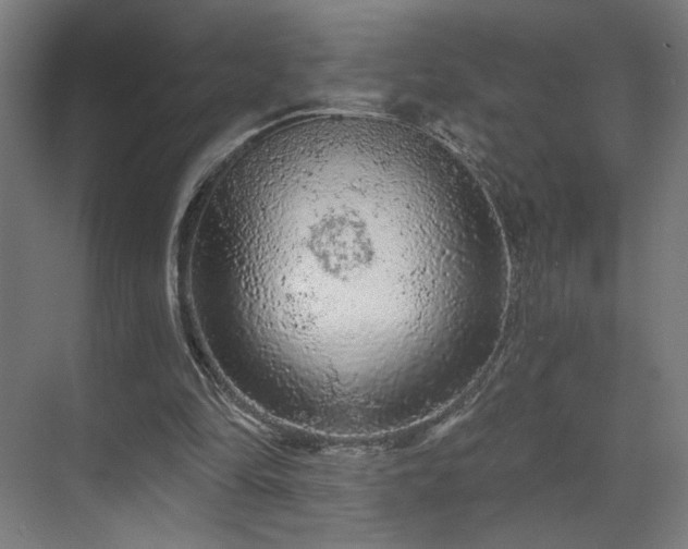 X0000069790294200605261704