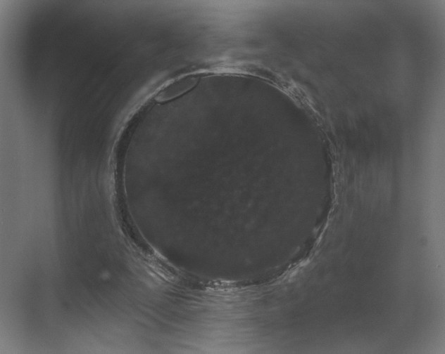 X0000069790295200605261704