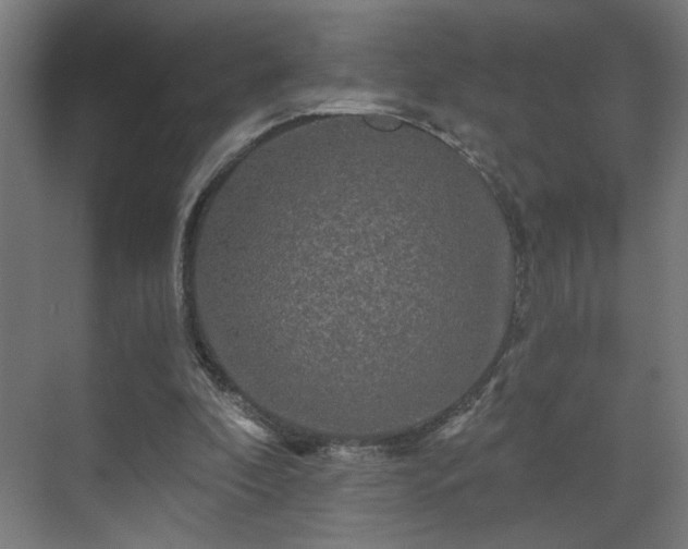 X0000069790296200605261704