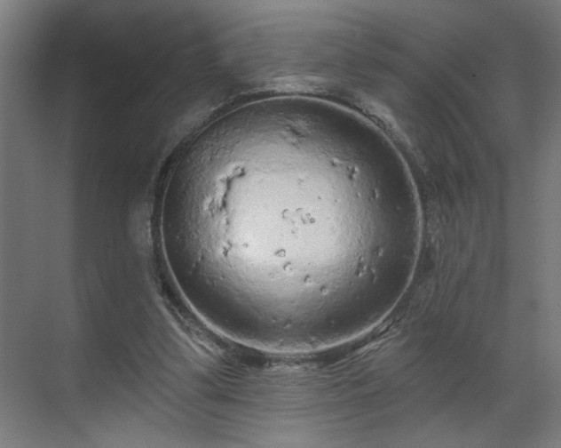 X0000069790299200605261704