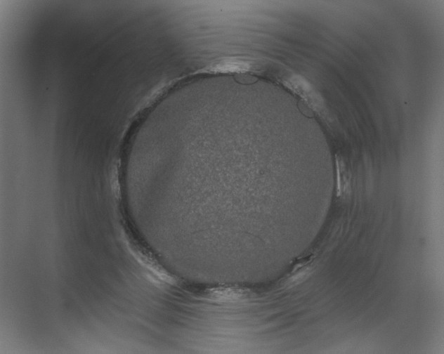 X0000069790300200605261704