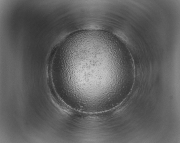 X0000069790302200605261704