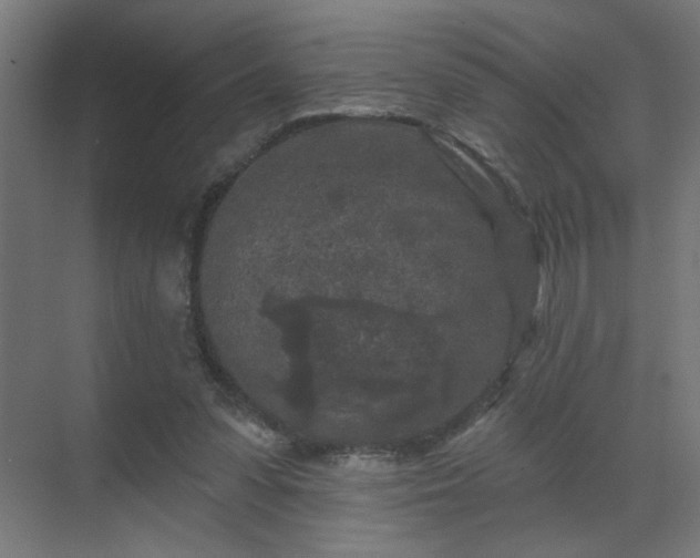 X0000069790303200605261704