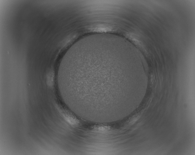 X0000069790304200605261704