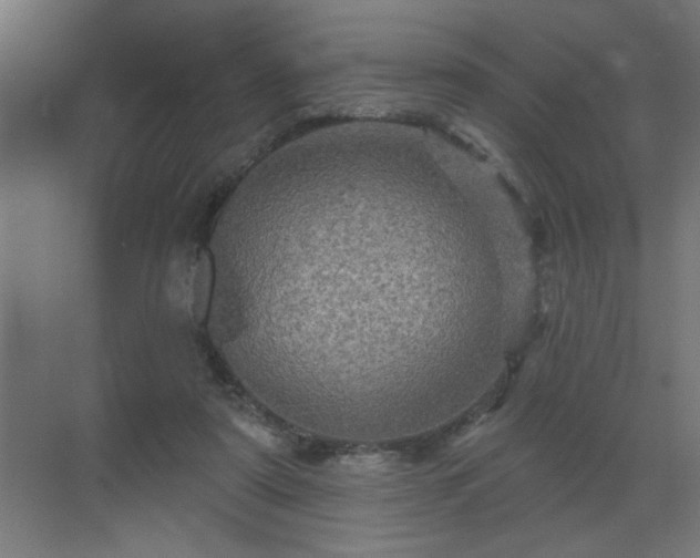 X0000069790307200605261703