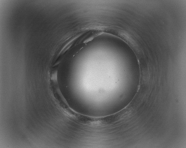 X0000069790309200605261703