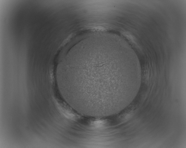 X0000069790312200605261703