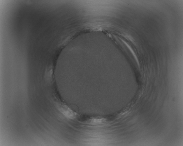 X0000069790314200605261703