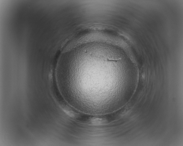 X0000069790315200605261703