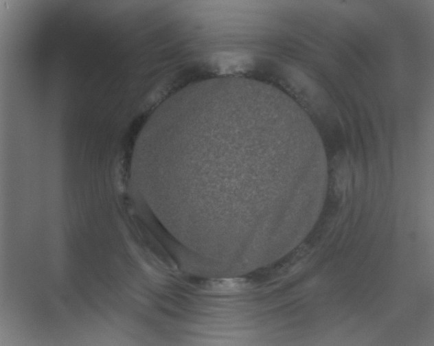 X0000069790316200605261703