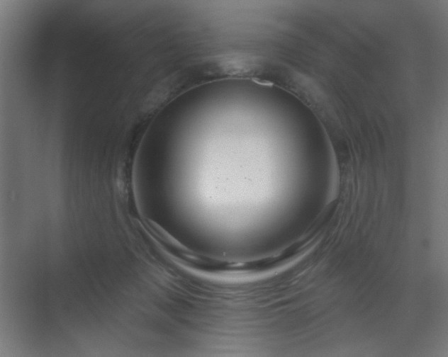 X0000069790317200605261703