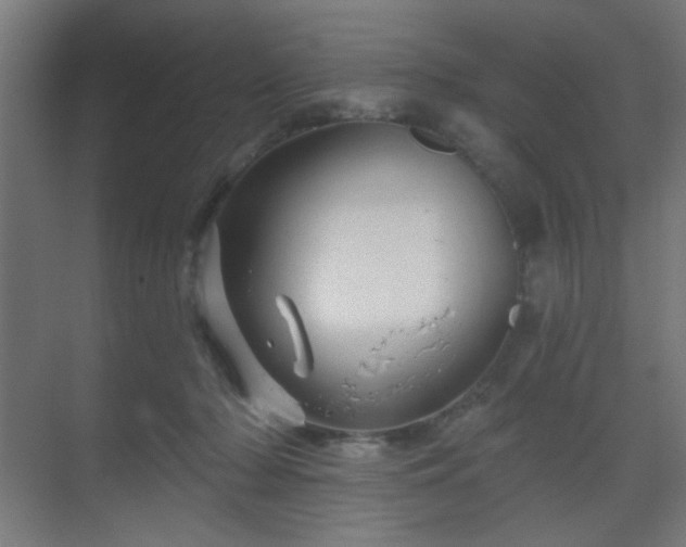 X0000069790318200605261703