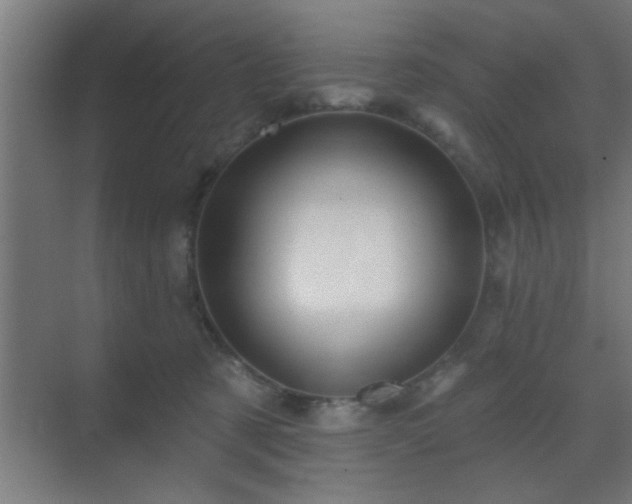 X0000069790321200605261703