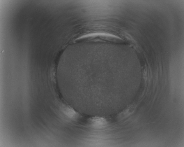 X0000069790322200605261703