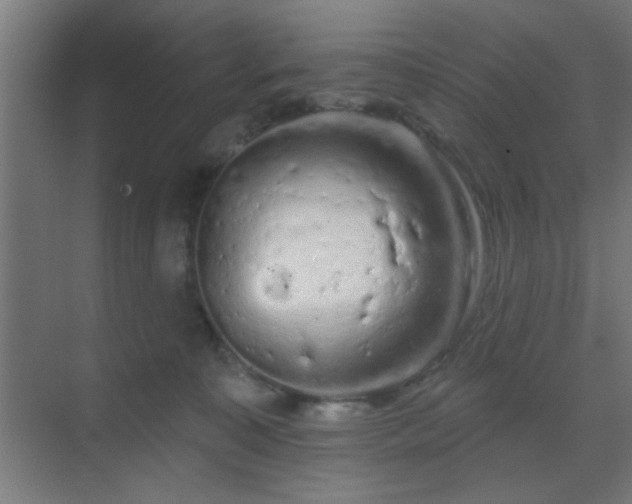 X0000069790323200605261703