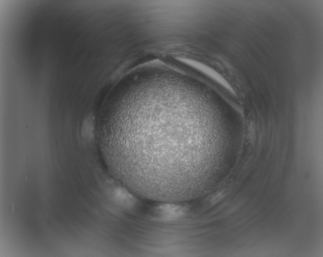 X0000069790326200605261703