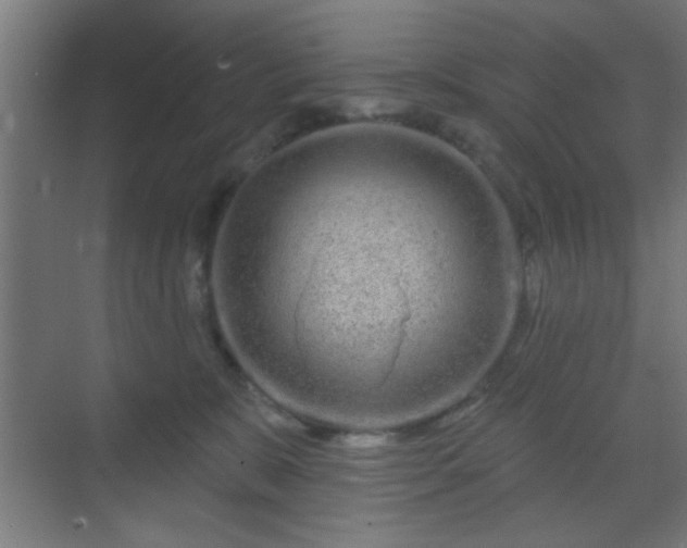 X0000069790327200605261703