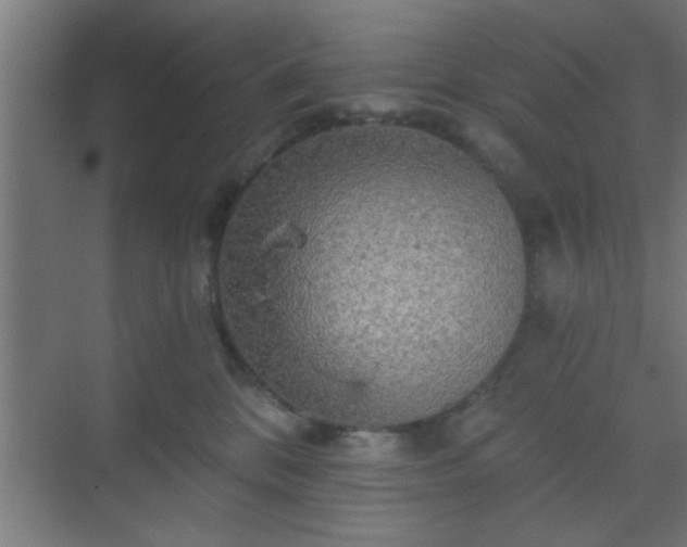 X0000069790328200605261703