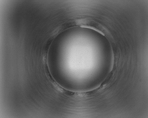 X0000069790329200605261703