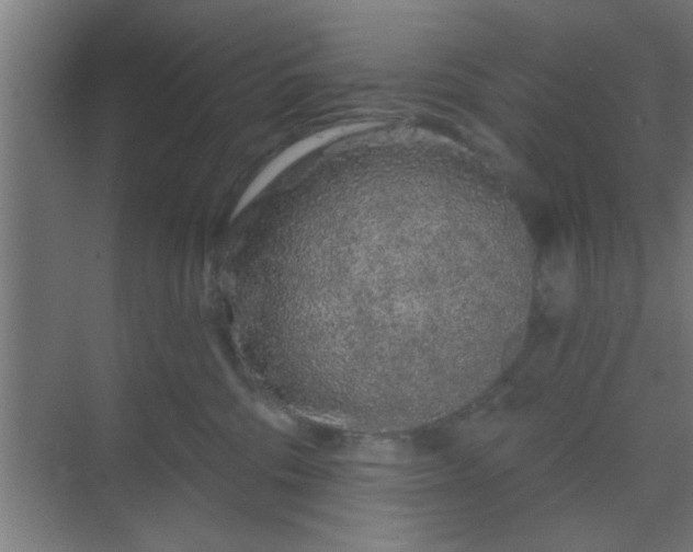 X0000069790330200605261703