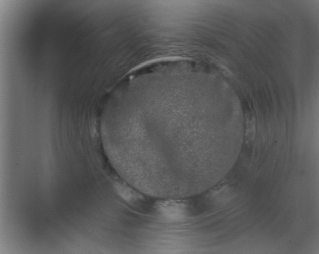 X0000069790331200605261703