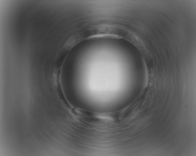 X0000069790333200605261703