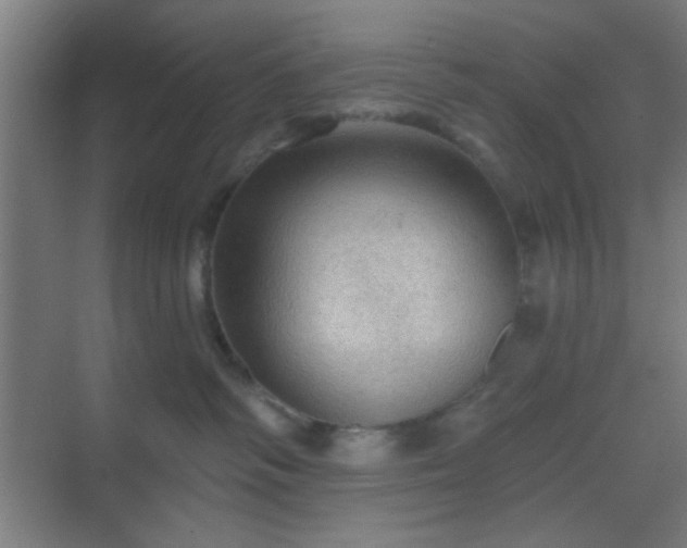 X0000069790334200605261703