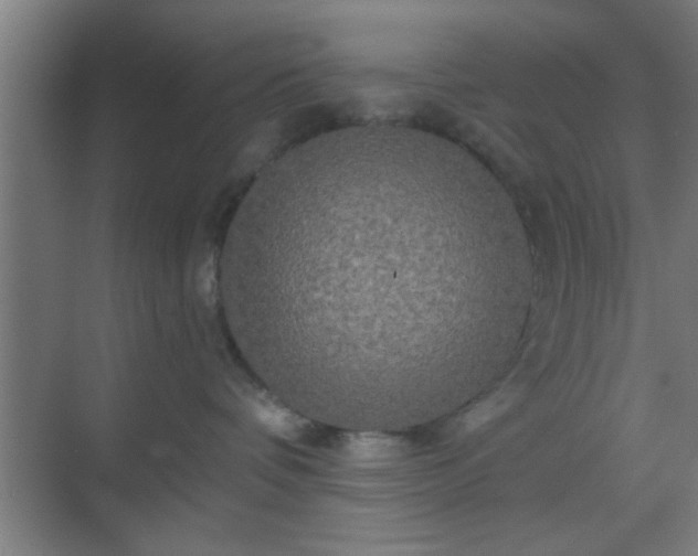 X0000069790336200605261703