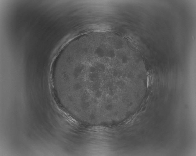 X0000069790339200605261702