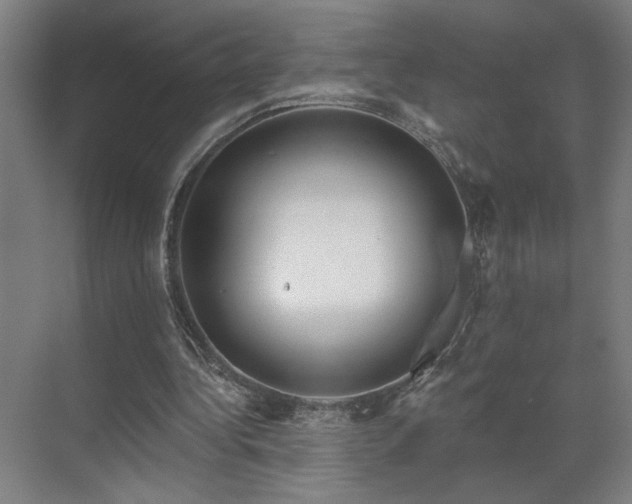 X0000069790340200605261702