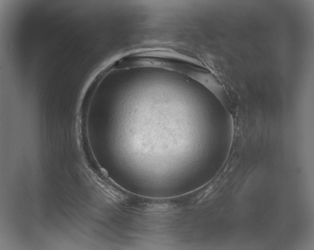 X0000069790342200605261702